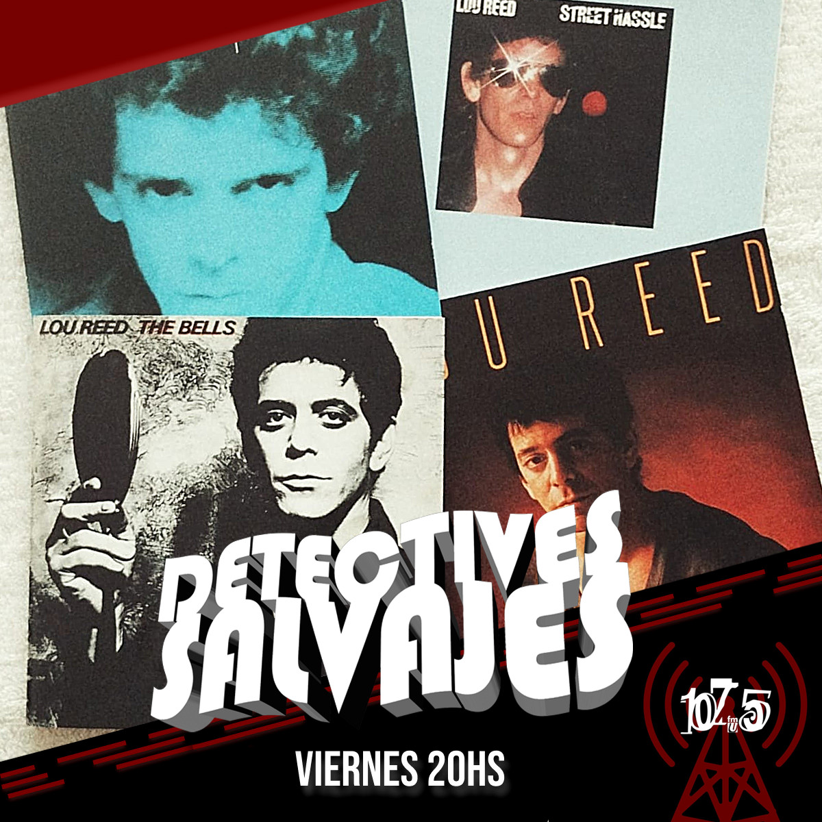 DETECTIVES SALVAJES